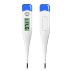 Electronic Thermometer