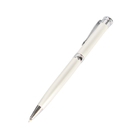 Metal Pen