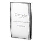 Fashionable Crystal Trophy