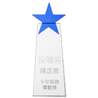 Simple fashion Crystal Awards
