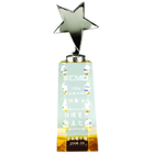 Crystal Metal Trophies