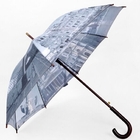 Color 30-inch Golf Umbrella