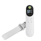 Portable Luggage Scale