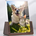 CustomizationU-shaped Vertical Acrylic Photo FrameCorporate Gifts