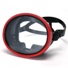 Large-frame free diving mask