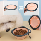 Pet folding bowl