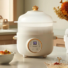 Baby Electric Stew Pot
